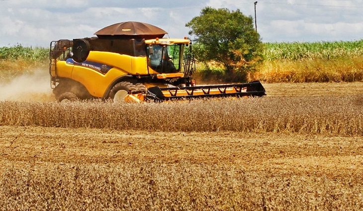 Valor da produção agropecuária de Mato Grosso do Sul chega ao recorde de R$  70,9 bilhões – Fundação do Trabalho