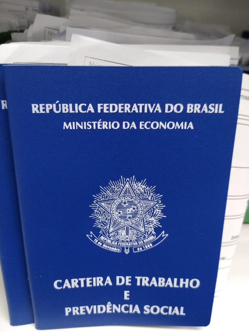 CTPS – Carteira de Trabalho e Previdência Social – Blog do Luiz Ladeira